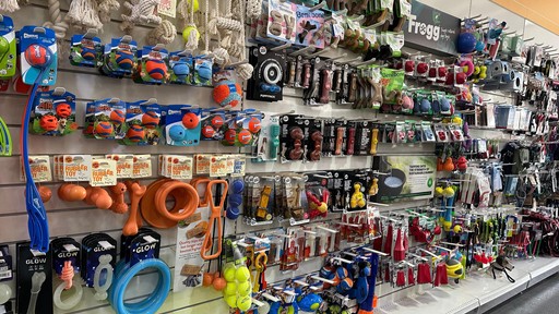Pets Corner Peterborough Interior