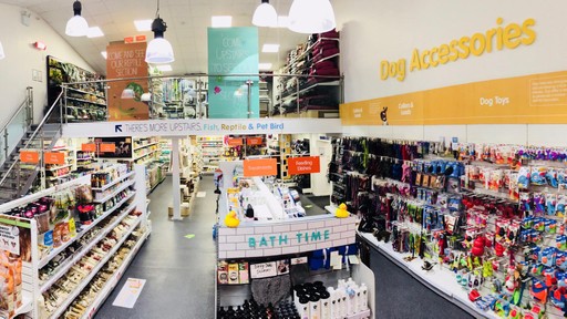 Pets Corner Lincoln Interior