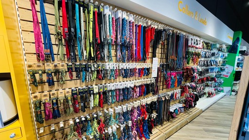 Pets Corner Swindon Interior