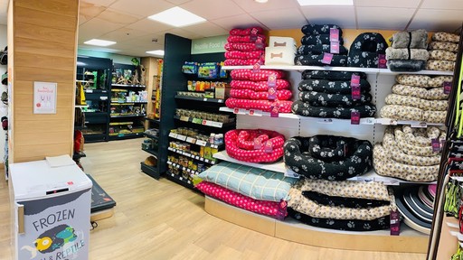 Pets Corner Reading Interior