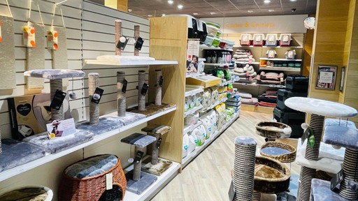 Pets Corner Dorking Interior