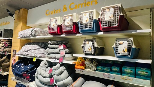 Pets Corner Dorking Interior
