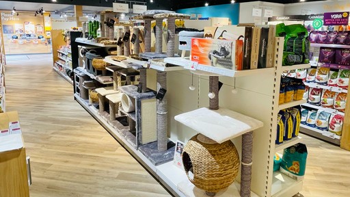Pets Corner Ashford Interior