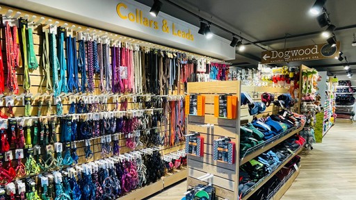 Pets Corner Guildford Interior