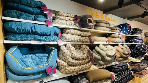 Pets Corner Guildford Interior