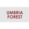 Umbria Forest Srl