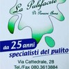 La Pulifacile di Pansini  Anna Logo