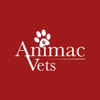 Animac Vets, Morningside