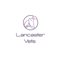 Lancaster Vets