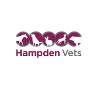 Hampden Vets, Barrettstown Equine Clinic