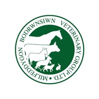 Bodrwnsiwn Veterinary Practice, Bangor Equine