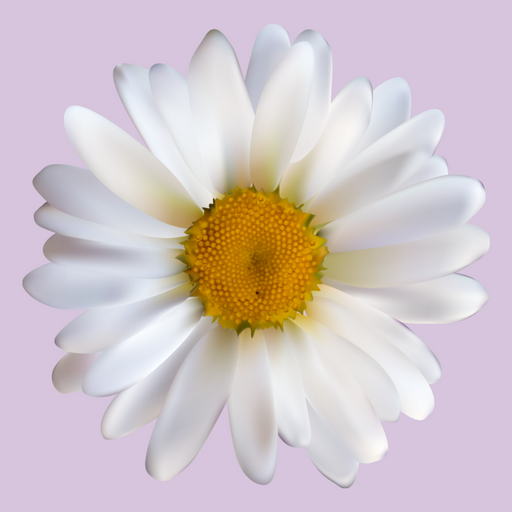 Angelic Touch Logo