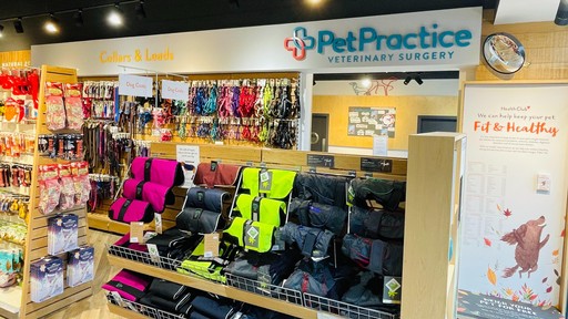 Pets Corner Marlborough Interior