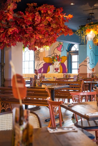 Zizzi - Hereford