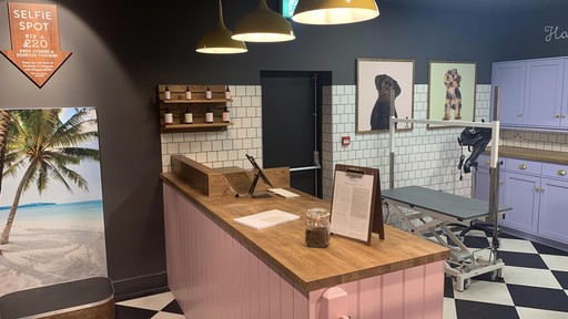 Dogwood Weymouth Interior