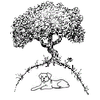 Chestnut Lodge Dog Training