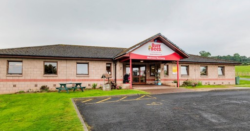 Busy Bees in Melrose - The best start in life
