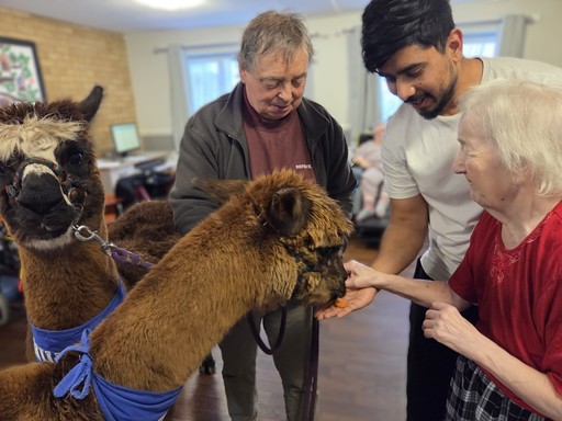 Thistle Court Care Home South Wales 