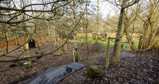 Busy Bees at Matlock - The best start in life