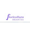 Floricoltura Briantea