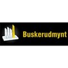 Buskerud mynt, gull og sølv