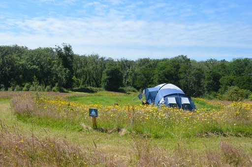 Camping Pitch