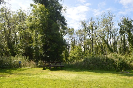 Camping Pitch