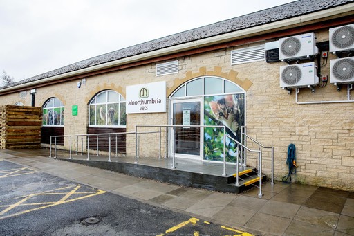 Close up branch exterior