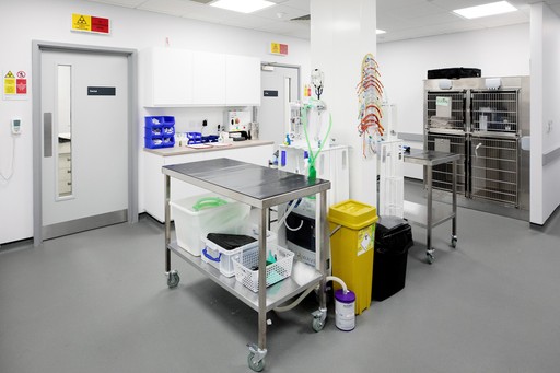 Preparation area