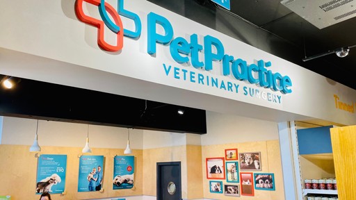 Pet Practice Christchurch Interior
