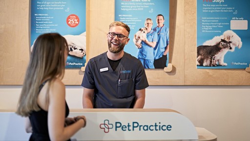 Pet Practice Christchurch Interior