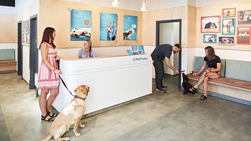 Pet Practice Poole Interior