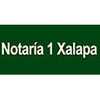Notaría 1 Xalapa Logo