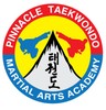 Pinnacle Taekwondo Martial Arts