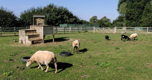 Busy Bees Cambridge Westwick - The best start in life
