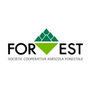 Forest S.C.A.F.