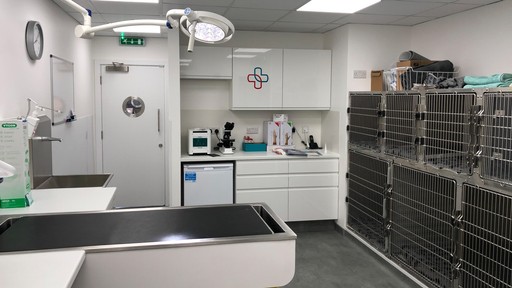 Pet Practice Marlborough Interior