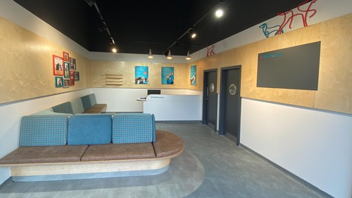 Pet Practice Marlborough Interior