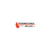 Tecnomeccanica Biellese Logo