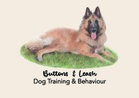 Buttons & Leash Dog Training & Behaviour