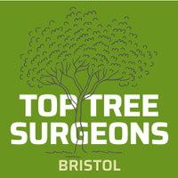 Top Tree Surgeons Bristol