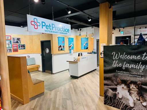 Pet Practice Billingshurst Interior