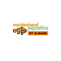 Maidenhead Aquatics St Albans