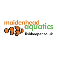 Maidenhead Aquatics Farnham