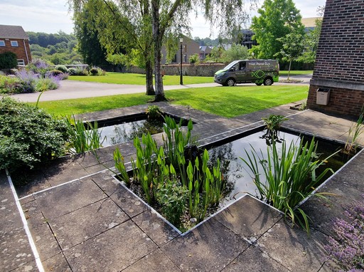 That Pond Guy - Pond Cleaning in Kent and London