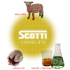 Tessitura Scotti