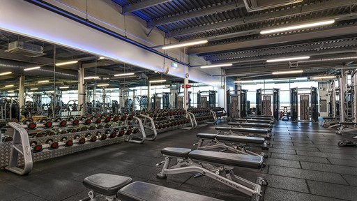 Free Weights Area