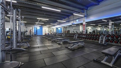 Free Weights Area