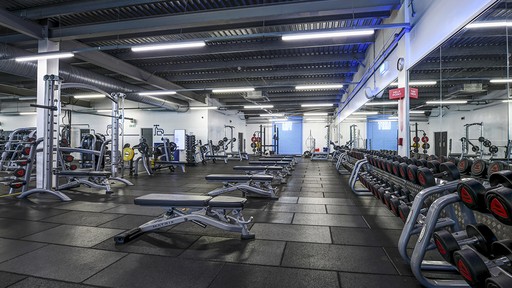 Free Weights Area