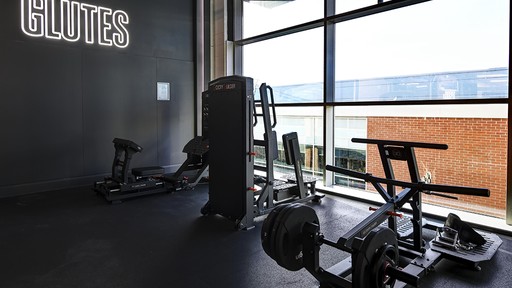 Glutes Area
